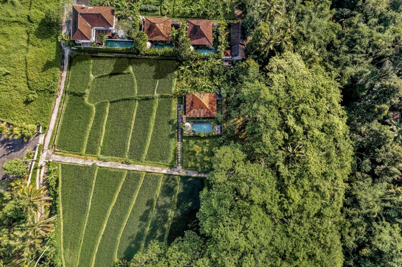 Ratni Ubud Villa Exteriör bild